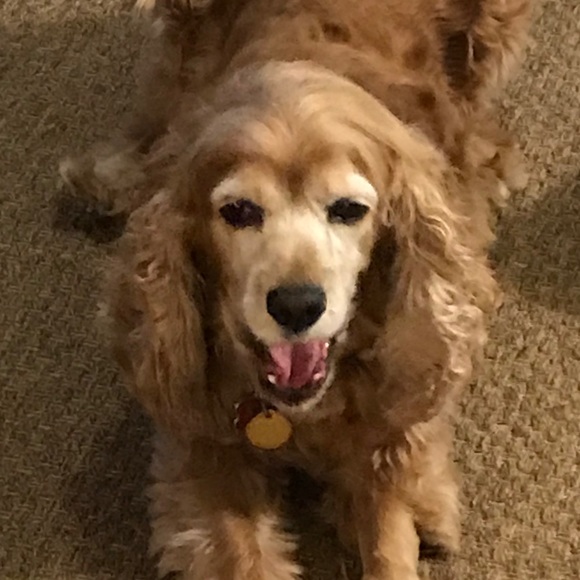 Meet your Posher, Chris - Picture 1 of 1